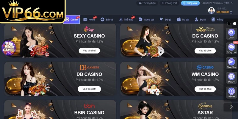 Trò chơi phong phú tại sảnh casino Vip66 mang lại nhiều lựa chọn