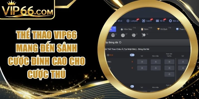 Thể Thao Vip66